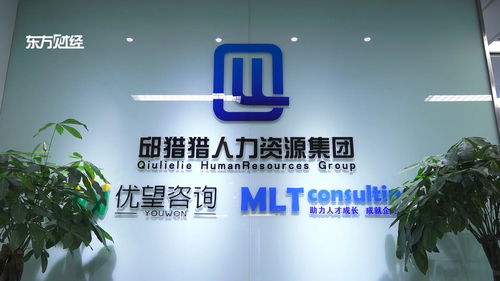 上海優(yōu)望企業(yè)管理咨詢挖掘優(yōu)質(zhì)人才,給能源領(lǐng)域提供不竭動(dòng)力